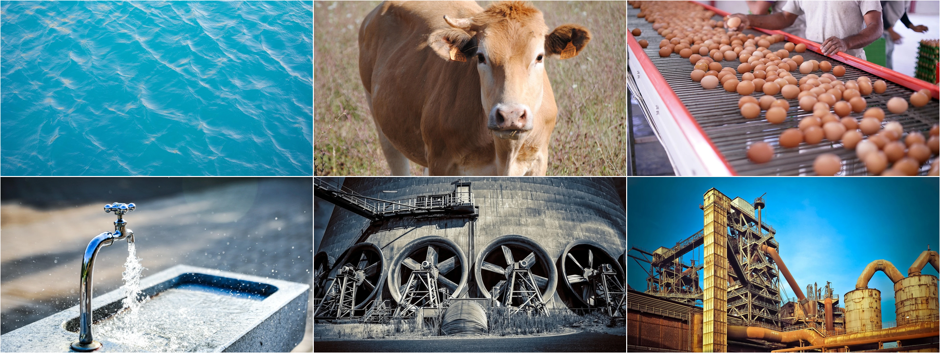 Industrial Disinfection Solutions - ChloroKlean